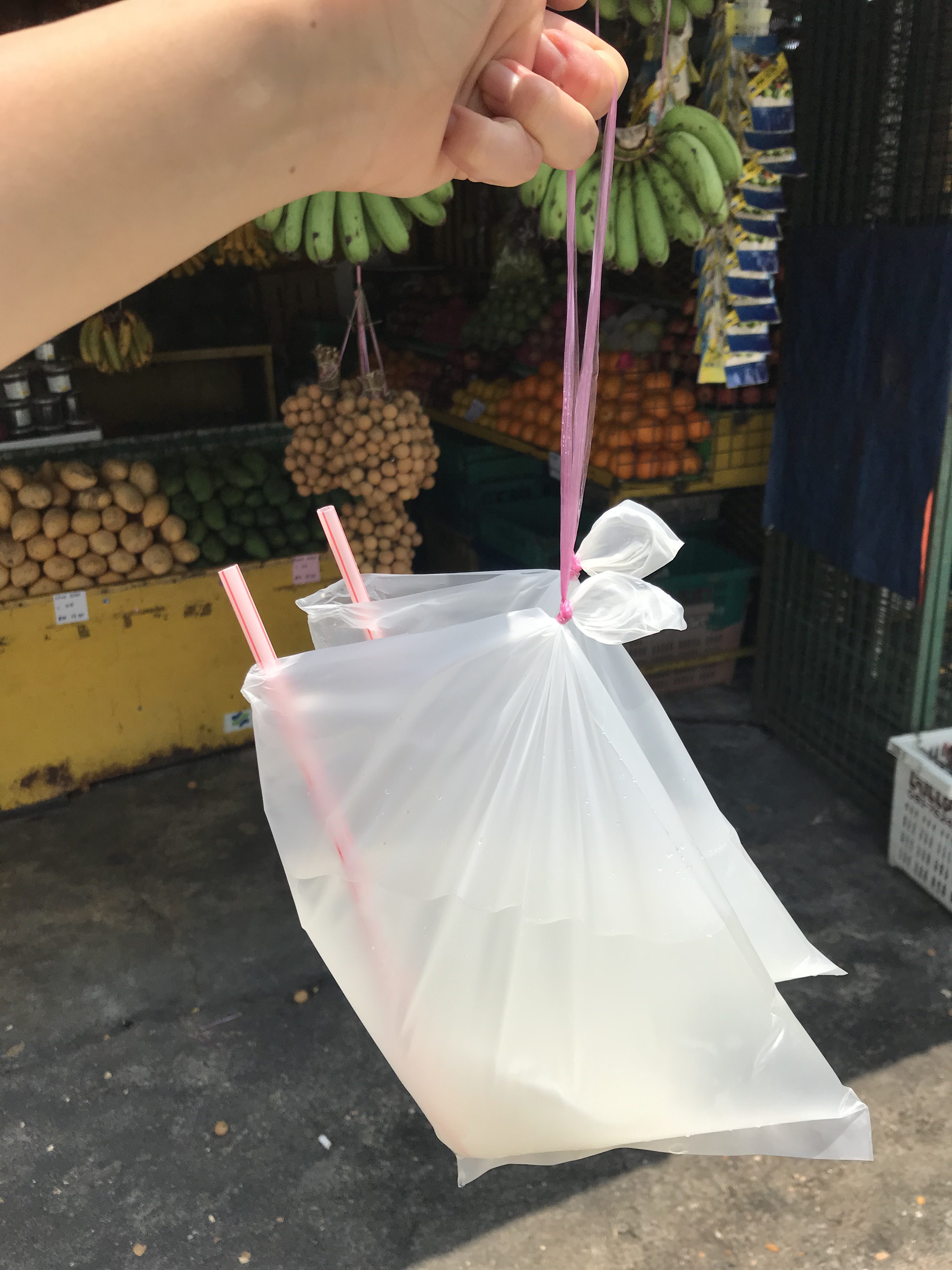天然の点滴 マレーシア街歩き 暑いと思ったら水分補給に栄養満点のココナッツジュースを カリウム ミネラル マグネシウム Travel Plus