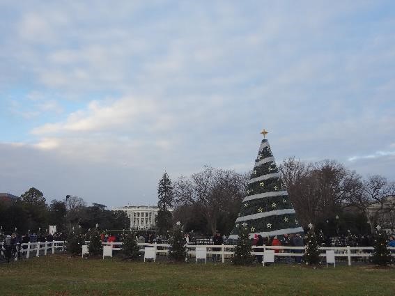 寒さを忘れて楽しもう ワシントンdcのおすすめクリスマスイベント5選 Travel Plus